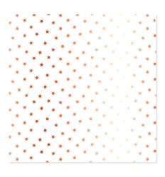 Vellum soles (foil rose gold)