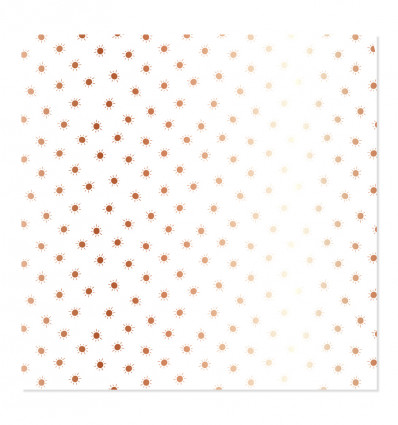 Vellum soles (foil rose gold)